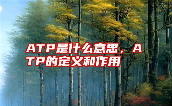 ATP是什么意思，ATP的定义和作用