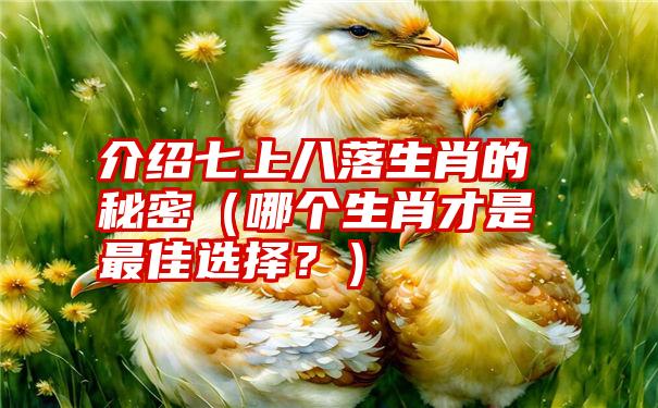 介绍七上八落生肖的秘密（哪个生肖才是最佳选择？）