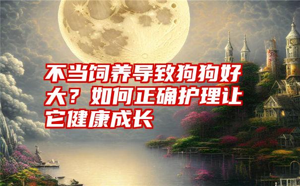 不当饲养导致狗狗好大？如何正确护理让它健康成长