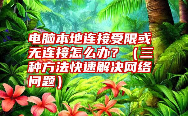 电脑本地连接受限或无连接怎么办？（三种方法快速解决网络问题）