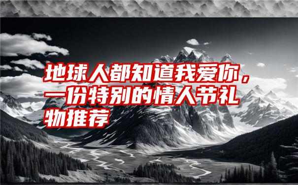 地球人都知道我爱你，一份特别的情人节礼物推荐