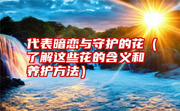 代表暗恋与守护的花（了解这些花的含义和养护方法）