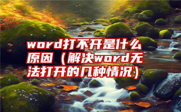 word打不开是什么原因（解决word无法打开的几种情况）