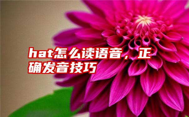 hat怎么读语音，正确发音技巧