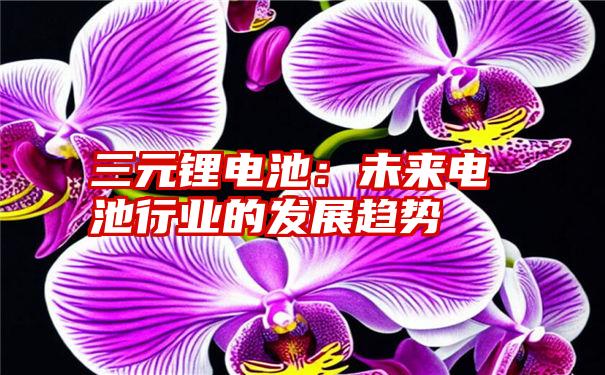 三元锂电池：未来电池行业的发展趋势