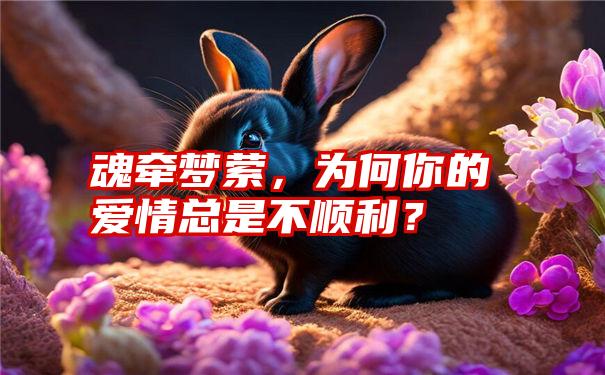 魂牵梦萦，为何你的爱情总是不顺利？