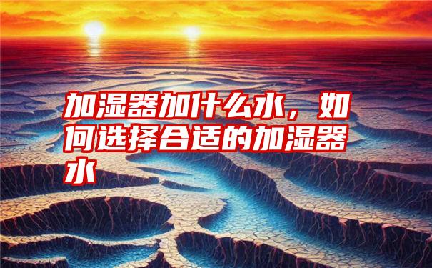 加湿器加什么水，如何选择合适的加湿器水