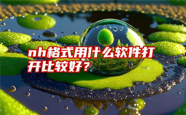 nh格式用什么软件打开比较好？