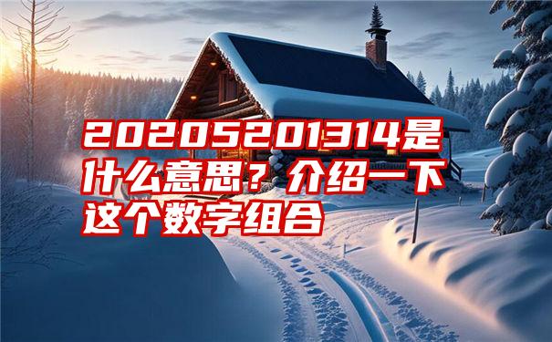 20205201314是什么意思？介绍一下这个数字组合