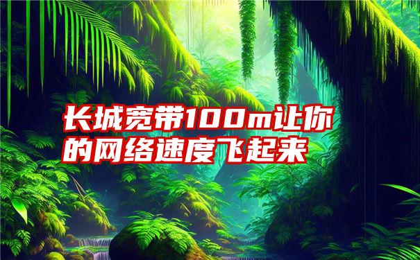 长城宽带100m让你的网络速度飞起来