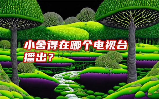 小舍得在哪个电视台播出？