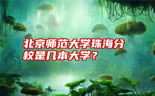 北京师范大学珠海分校是几本大学？