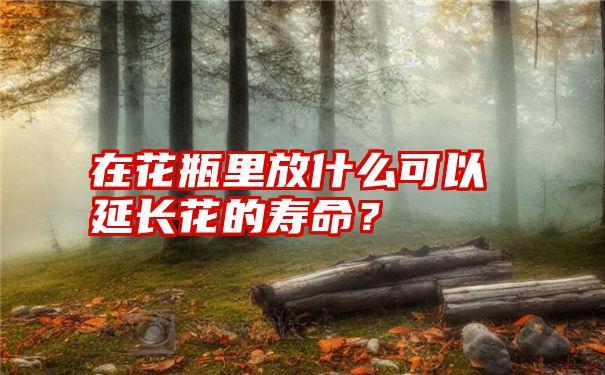 在花瓶里放什么可以延长花的寿命？