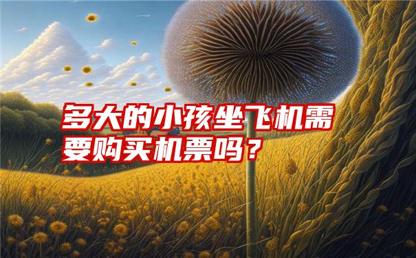 多大的小孩坐飞机需要购买机票吗？