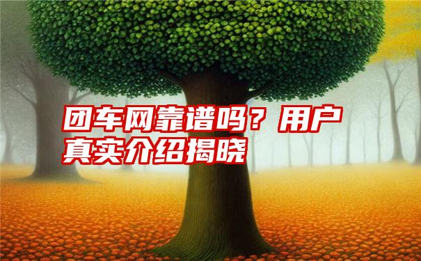 团车网靠谱吗？用户真实介绍揭晓