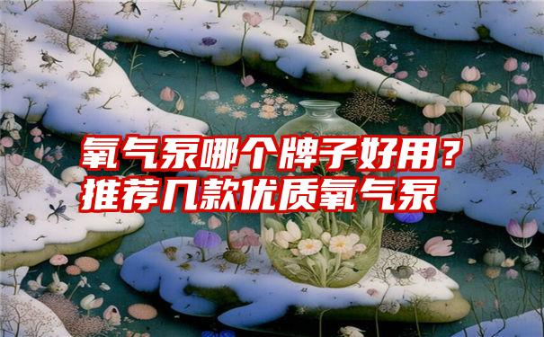 氧气泵哪个牌子好用？推荐几款优质氧气泵