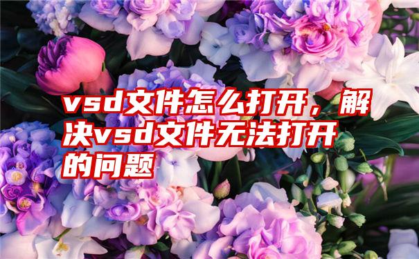 vsd文件怎么打开，解决vsd文件无法打开的问题