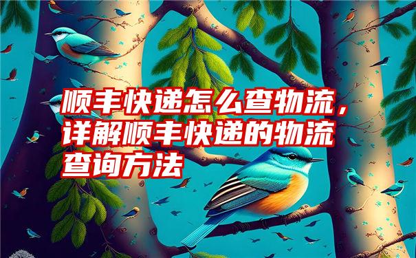 顺丰快递怎么查物流，详解顺丰快递的物流查询方法