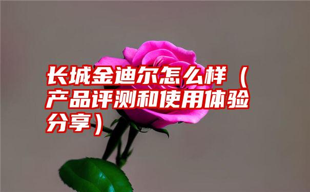 长城金迪尔怎么样（产品评测和使用体验分享）