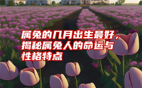 属兔的几月出生最好，揭秘属兔人的命运与性格特点