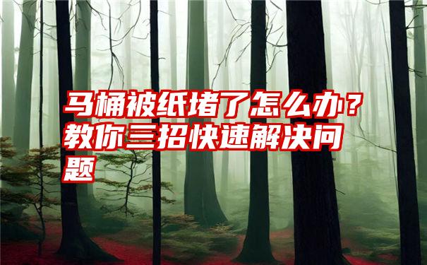 马桶被纸堵了怎么办？教你三招快速解决问题