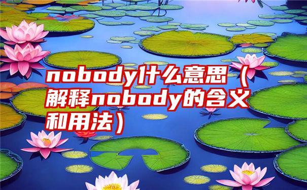 nobody什么意思（解释nobody的含义和用法）