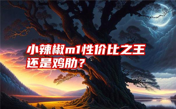 小辣椒m1性价比之王还是鸡肋？