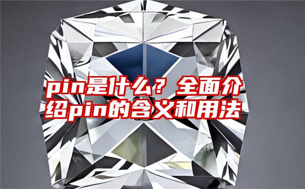 pin是什么？全面介绍pin的含义和用法