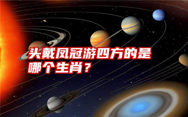 头戴凤冠游四方的是哪个生肖？