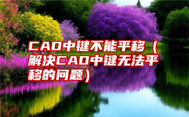 CAD中键不能平移（解决CAD中键无法平移的问题）