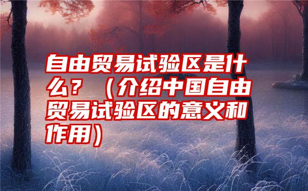 自由贸易试验区是什么？（介绍中国自由贸易试验区的意义和作用）