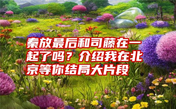 秦放最后和司藤在一起了吗？介绍我在北京等你结局大片段