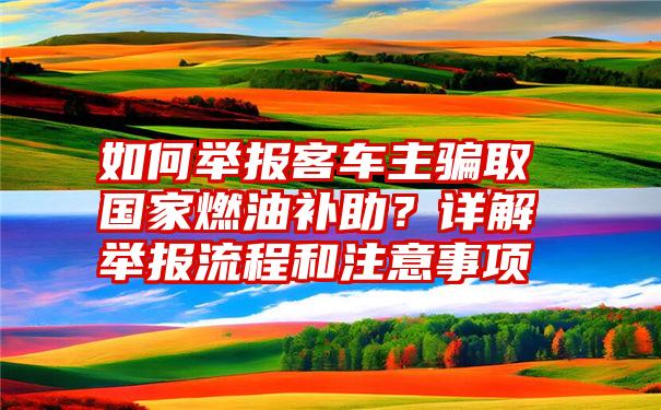 如何举报客车主骗取国家燃油补助？详解举报流程和注意事项