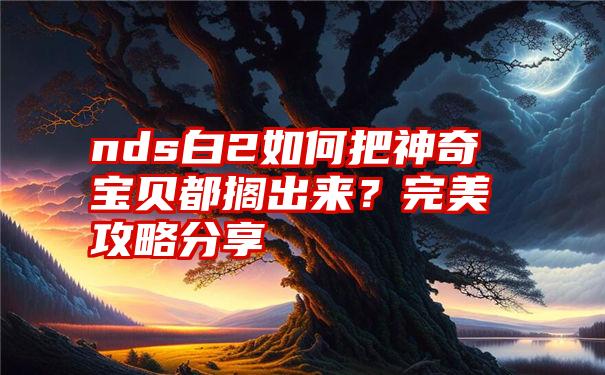 nds白2如何把神奇宝贝都搁出来？完美攻略分享