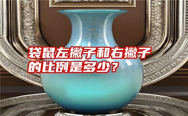 袋鼠左撇子和右撇子的比例是多少？