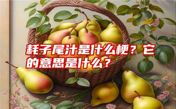 耗子尾汁是什么梗？它的意思是什么？