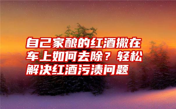 自己家酿的红酒撒在车上如何去除？轻松解决红酒污渍问题