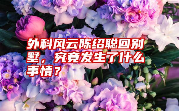 外科风云陈绍聪回别墅，究竟发生了什么事情？