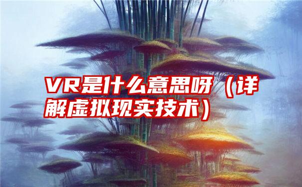 VR是什么意思呀（详解虚拟现实技术）