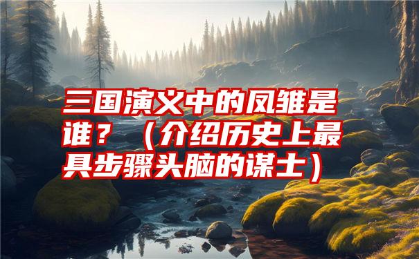 三国演义中的凤雏是谁？（介绍历史上最具步骤头脑的谋士）