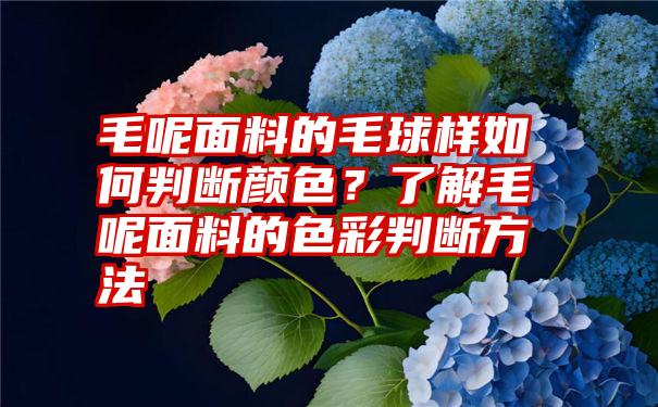 毛呢面料的毛球样如何判断颜色？了解毛呢面料的色彩判断方法