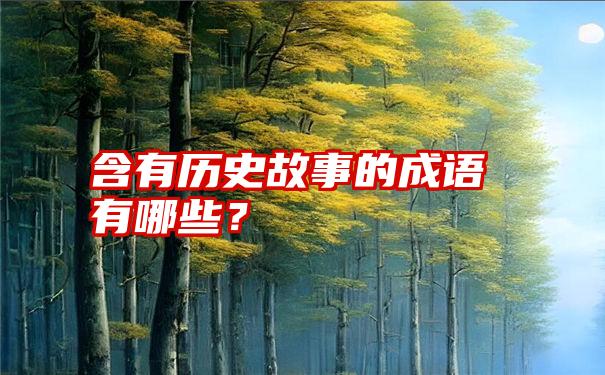 含有历史故事的成语有哪些？