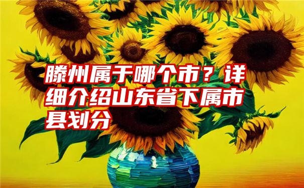 滕州属于哪个市？详细介绍山东省下属市县划分