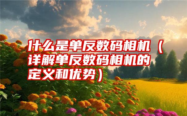 什么是单反数码相机（详解单反数码相机的定义和优势）