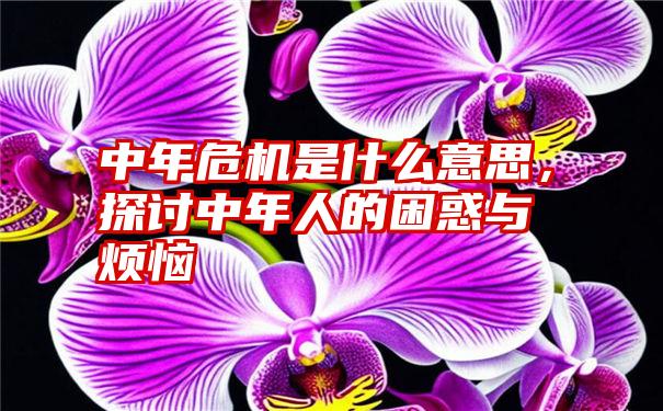 中年危机是什么意思，探讨中年人的困惑与烦恼