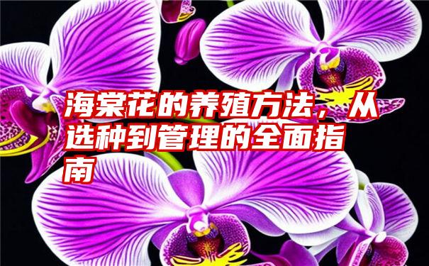 海棠花的养殖方法，从选种到管理的全面指南