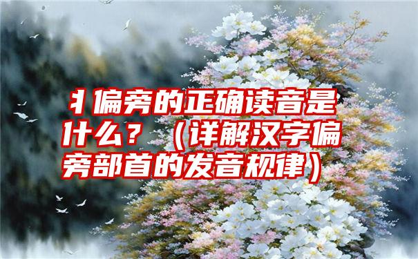 丬偏旁的正确读音是什么？（详解汉字偏旁部首的发音规律）