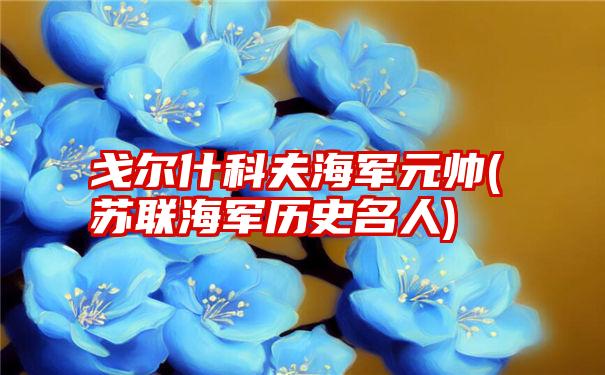 戈尔什科夫海军元帅(苏联海军历史名人)