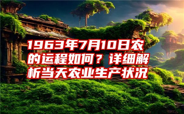 1963年7月10日农的运程如何？详细解析当天农业生产状况