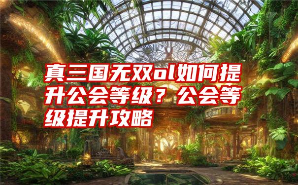 真三国无双ol如何提升公会等级？公会等级提升攻略